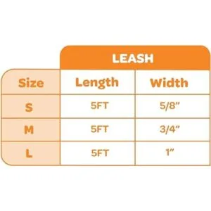 Voyager Reflective Dog Leash with Neoprene Handle 5ft_4