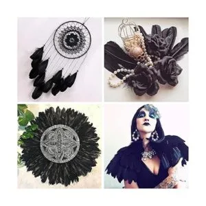 Ballinger Plumas negras para manualidades a granel 120_6