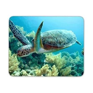 Tortugas de mar verde alfombrilla de mouse Mouse Pad de_1