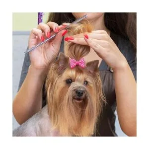 Mewtogo 30 unids15 pares de lazos de pelo de perro con_4