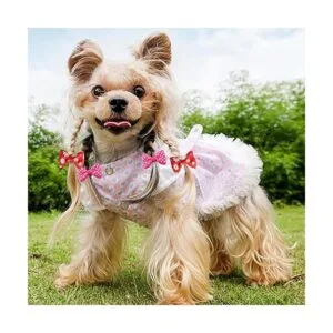 Mewtogo 30 unids15 pares de lazos de pelo de perro con_2