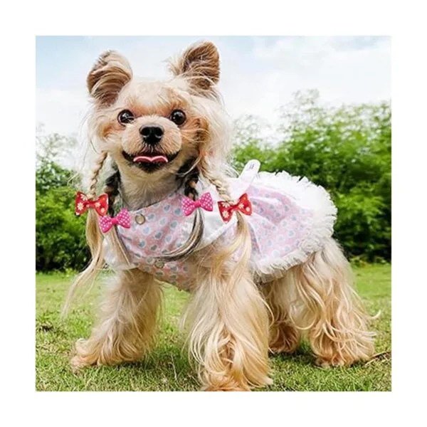 Mewtogo 30 unids15 pares de lazos de pelo de perro con_2