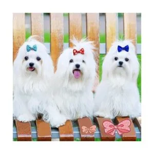 Mewtogo 30 unids15 pares de lazos de pelo de perro con_7
