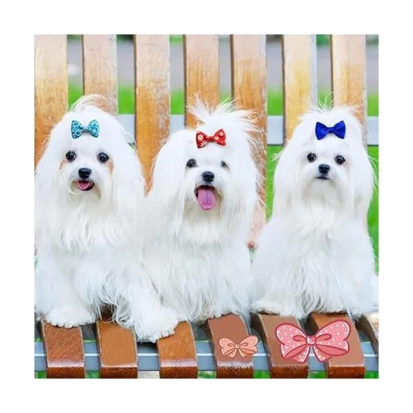 Mewtogo 30 unids15 pares de lazos de pelo de perro con_7