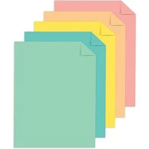 Astrobrights Punchy Cartulina surtida pastel 8.5 x 11_2