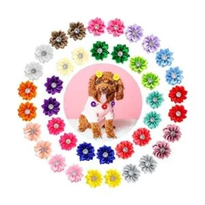 Petbuy 20 pares de horquillas para el pelo de perro Yorkie_1