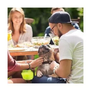 48 pulseras de goma con estampado de patas multicolor de_6