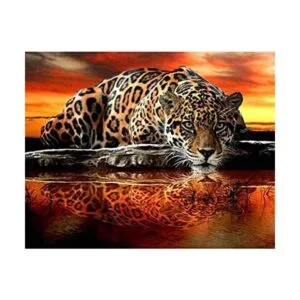 Leyzan Kit completo de pintura de diamante 5D con reflejo_1