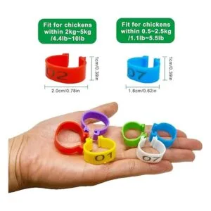 Mivofun 60 anillos numerados para patas de pollo 6_3
