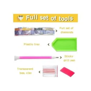 Leyzan Kit completo de pintura de diamante 5D con reflejo_6