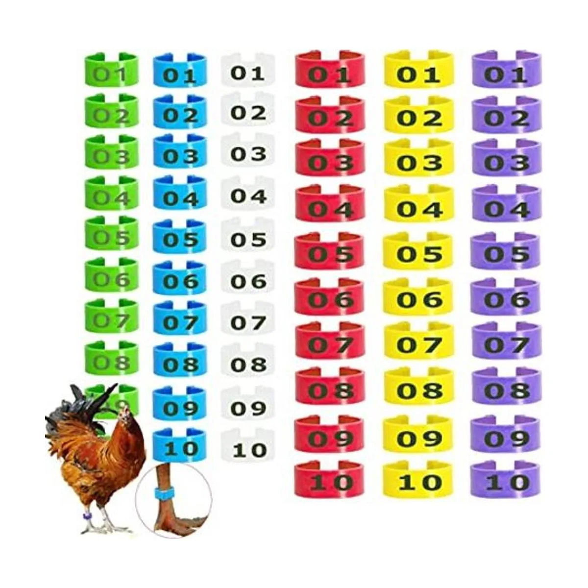 Mivofun 60 anillos numerados para patas de pollo 6_1