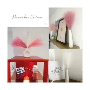 Serwalin Hierba de las Pampas rosa de 17.7 pulgadas 6_3