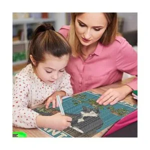 Kits de pintura de diamantes de gato para adultos_5