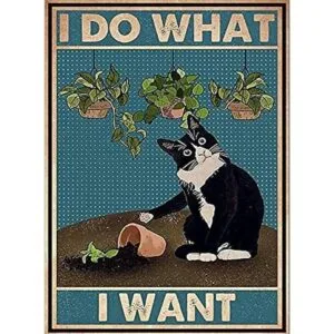 Kits de pintura de diamantes de gato para adultos_1