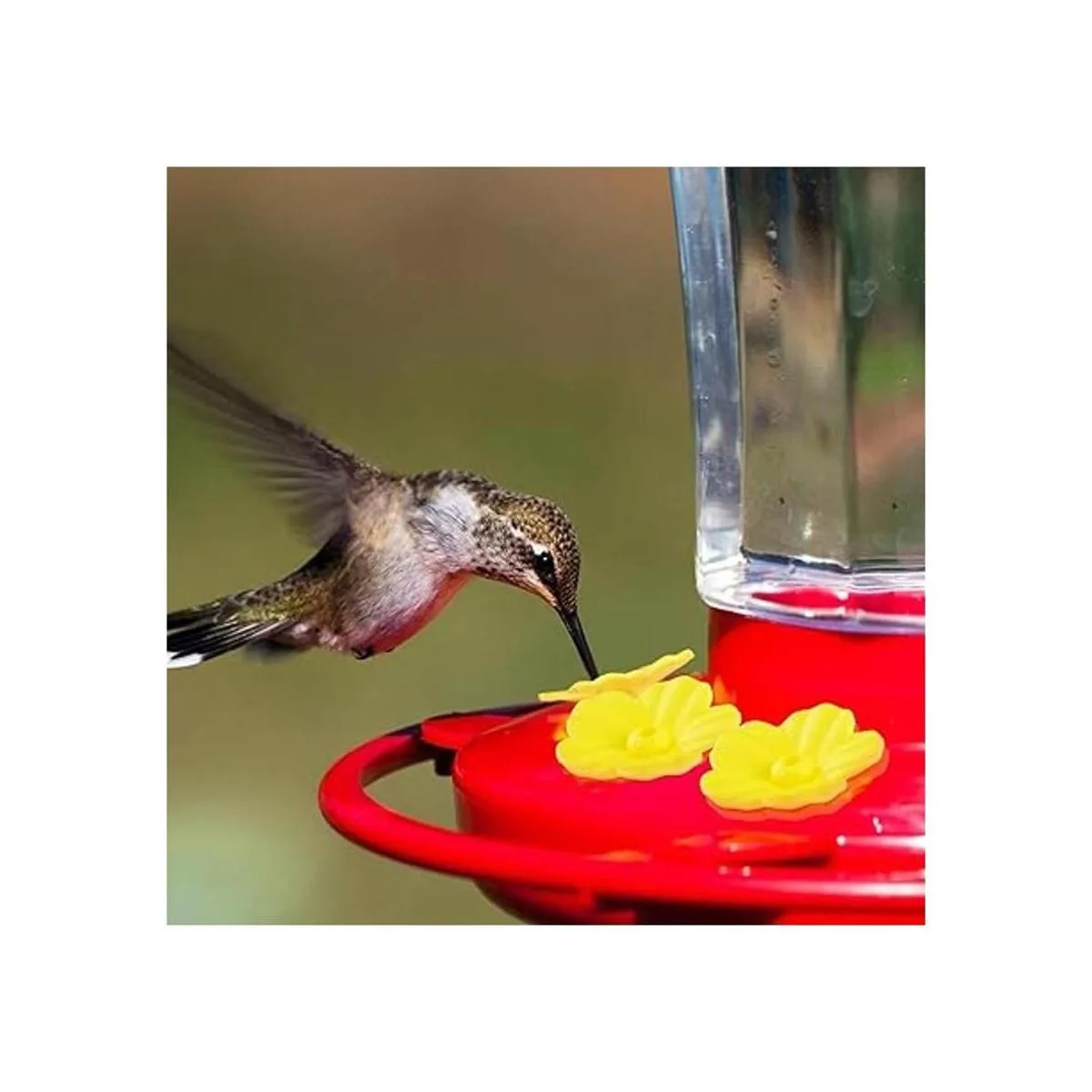 38 cepillos de limpieza para comedero de colibríes de 3_6