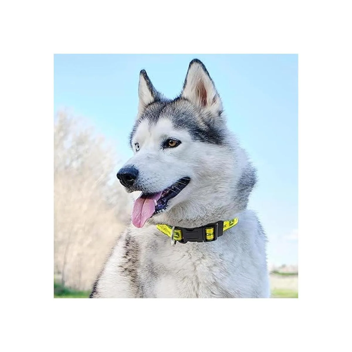 John Deere Collar de perro mediano para perros y gatos_5