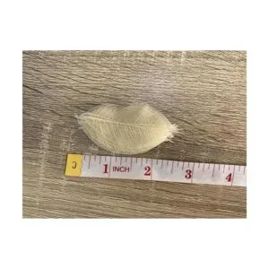 200 piezas pequeñas de 2 a 3.5 pulgadas de árbol de goma_6