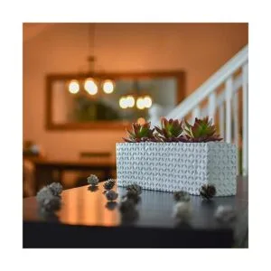 SEEKO Suculentas sintéticas plantas artificiales en_6