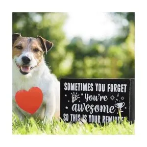 Letrero inspirador de madera con texto en inglés_6