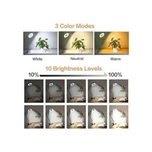 Lámpara de estudio de libro de lectura LED con clip 3_2