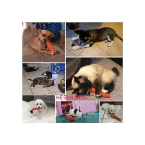 Juguetes para perros 3 juguetes para masticar dentición_5