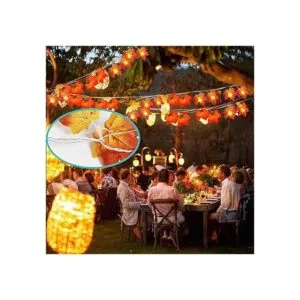 Alambre para colgar fotos recubierto de vinilo 6 de 50_7