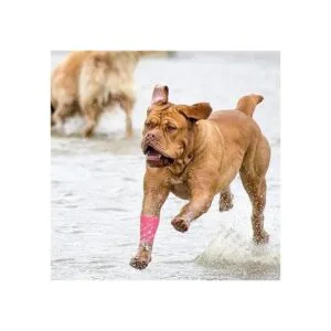 Tindobewan 8 rollos de vendaje cohesivo de 2 x 5 yardas_5