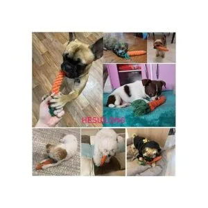 Juguetes para perros 3 juguetes para masticar dentición_4