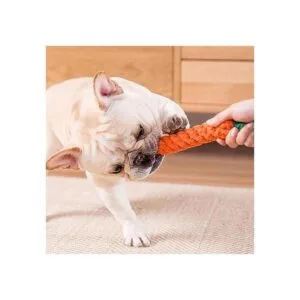 Juguetes para perros 3 juguetes para masticar dentición_2