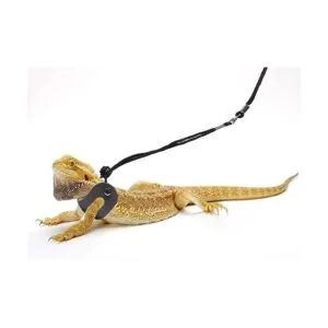 POLKASTORE Arnés de dragón barbudo y correa ajustable S_7