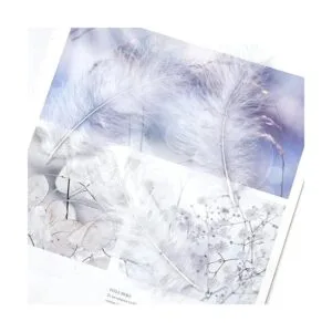 Paquete de 200 piezas de plumas blancas de pavo esponjoso_4