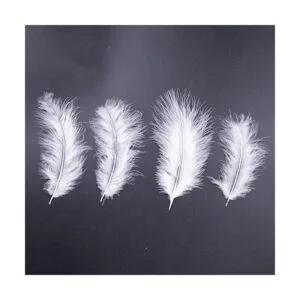 Paquete de 200 piezas de plumas blancas de pavo esponjoso_2