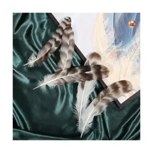 THARAHT 24 plumas de chinchilla gris natural a granel de 6_7