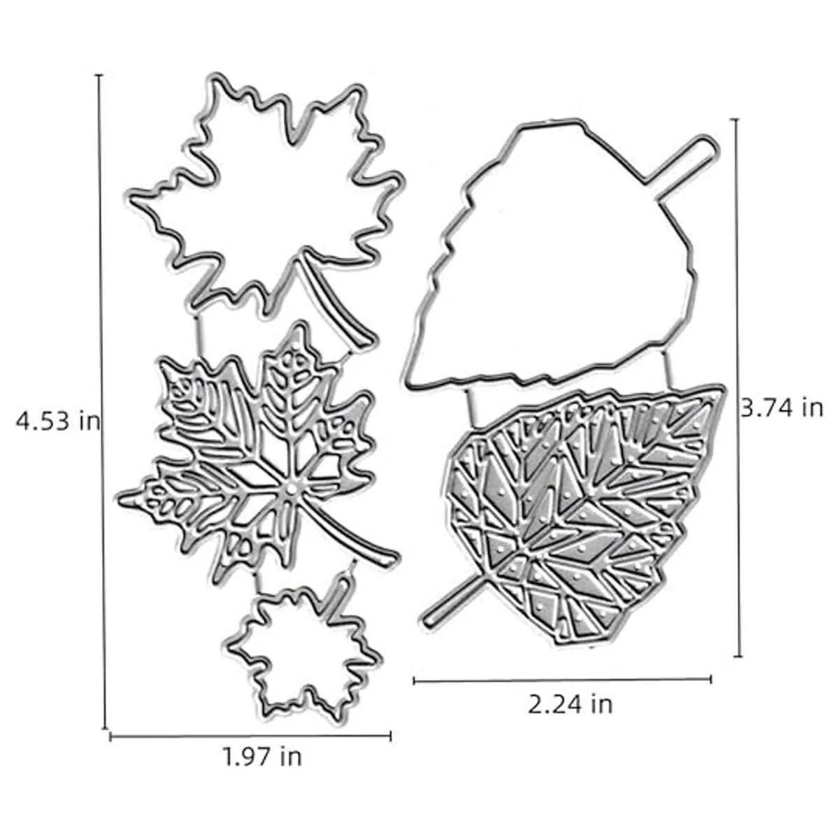 5 troqueles de corte de hojas de arce 3D hojas de otoño_2