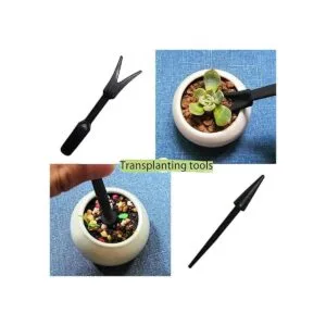 Wobodan Juego de herramientas suculentas de 12 piezas_5