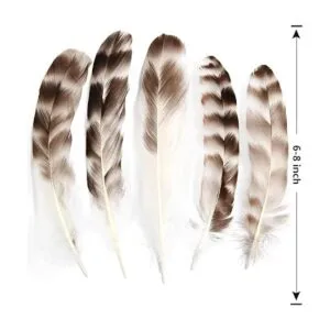 THARAHT 24 plumas de chinchilla gris natural a granel de 6_2