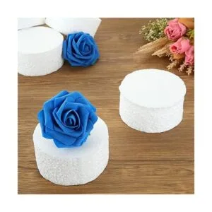 Paquete de 18 círculos de espuma de 3.9 pulgadas para_5