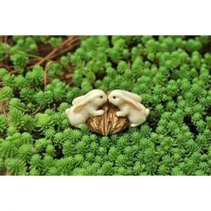 parte superior Collection Enchanted Story Jardín Conejos_2