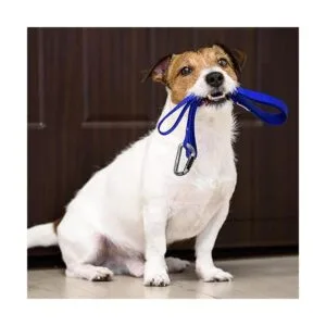 Amzonly Auto Locking Carabiner Clips Heavy Duty 12KN_4