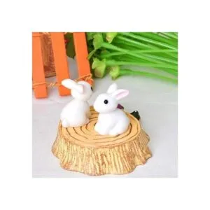 Zhiheng 20 unidades conejo miniatura hada jardín_4