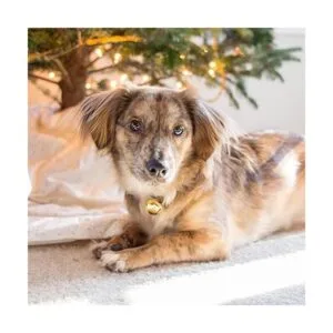 100 cascabeles de Navidad de 1 pulgada 4 colores_6