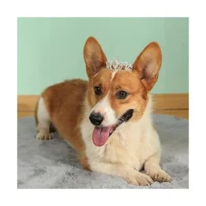 Lovelyshop Corona de tiara para perros y gatos con_3