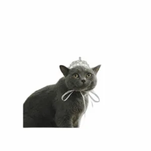 Lovelyshop Corona de tiara para perros y gatos con_1