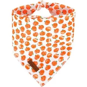UP URARA PUP Pañuelo para perro bufanda triangular para_1