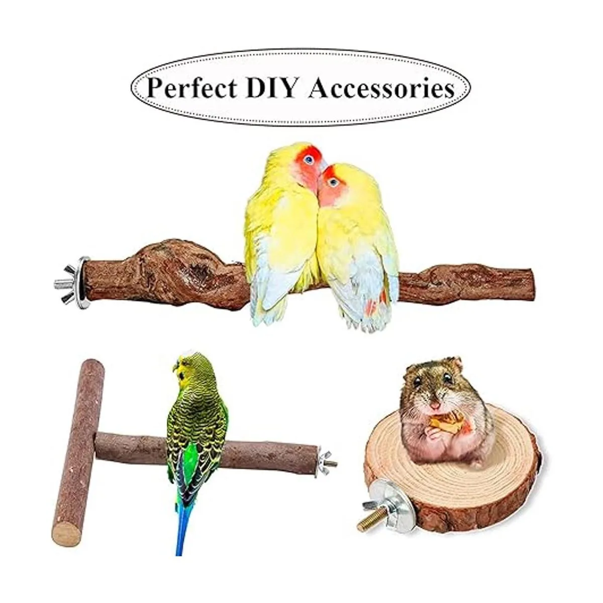 Tornillos de jaula para pájaros tornillos de percha para_5