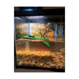 alfyng Plataforma de tortugas pequeña rampa de tortuga_7