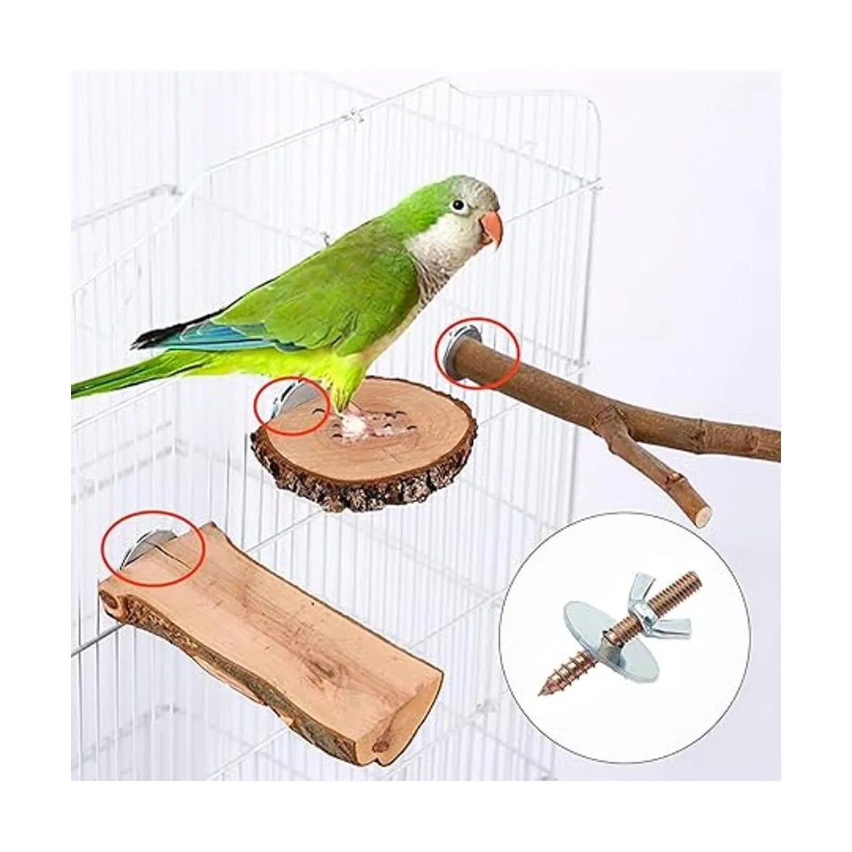 Tornillos de jaula para pájaros tornillos de percha para_6