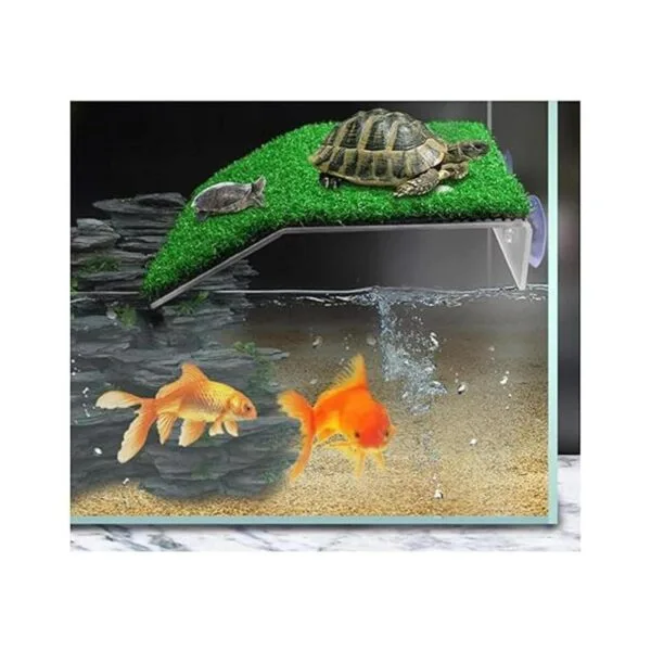 alfyng Plataforma de tortugas pequeña rampa de tortuga_5
