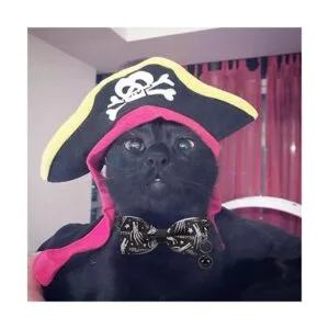 Halloween Cat Collar Bowtie Spooky Kitten Collar with_5