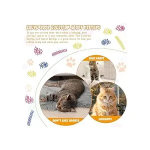 60 resortes finos y coloridos para gatos espirales_7